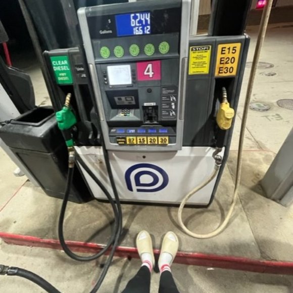 Meet your Posher, Dawson - Picture 1 of 1